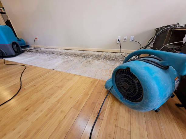 Professional Structural Drying technician working in Readfield, ME
